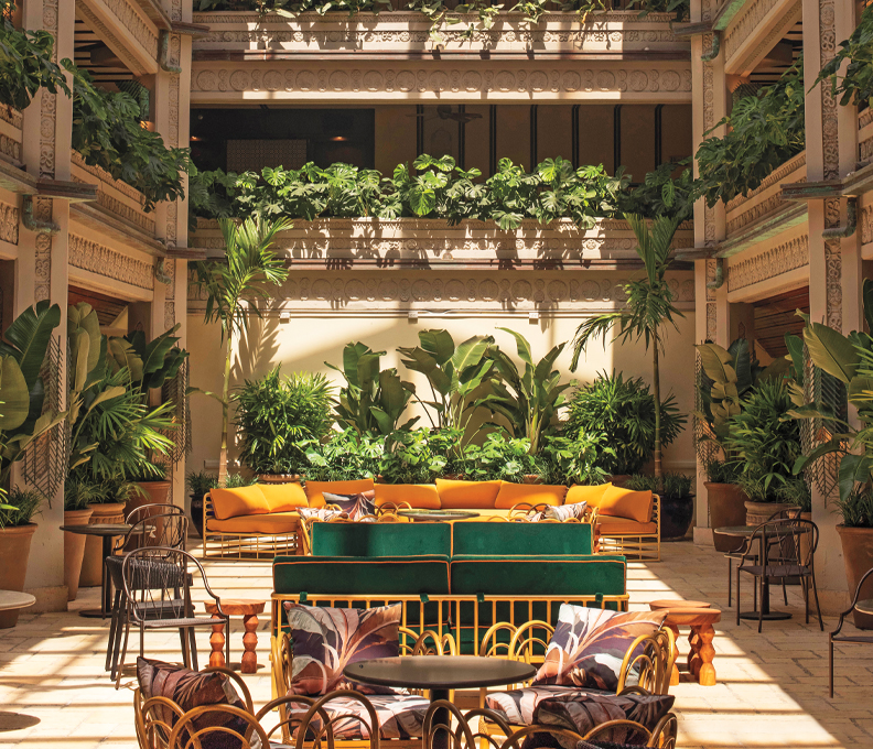 Miami’s Mainland: Trending Places in Coconut Grove